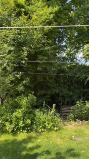 Ein Aussentisch braucht auch einmal Pause... ⏸️ Das Set "MACHBAR", um einfach einmal entspannt abzuhängen findest du im Shop, auf vanzeit.com. Das DIY Set für deinen Hängetisch an der Schiebetür kommt in zwei Varianten: Variante 1: 2x Türhaken + 5m Seil für den oldschool Look 🤩 Variante 2: 2x Türhaken + 2x 25 mm Gurt und D-Ring für coolen Look und extra Halt 😎 Noch deinen Tisch daran und los geht's 🏖️ 🚐💨💨 Die Türhaken "KLEMMT" gibt's selbstverständlich auch einzeln. Besonders entspannt: Auch mit montierten Haken lässt sich die Schiebetür noch schließen 🤙 Entspannte Camper Einrichtung zum einfach Einstecken und Loscampen, für dich, von hier, von uns Nicole 🙋🏼 & Stefan 🙋🏻‍♂️ P.S. Der schönste Hängetisch gewinnt einen Gutschein 🍀 vanzeit.com/gewinnspiel · - — VANZEIT ® — - · - Platz für alles. Zeit für Neues. 🔆 #vanzeit hat für dich 🛋️ #campereinrichtung 📏 auf Maß 💪 zum #selbstausbau 🇩🇪 hergestellt in Schleswig-Holstein 👶🏼 #einfachsteckbar im ⛺️ #vwbus , #minicamper, #microcamper und #tinycamper 🚐 seit 2012 #imbuszuhause ω€☈♭☋♫❡