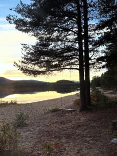 Sind schaukeln. Überlegen, was weitergeht... Folgt uns auf Tour in unseren Stories. 🚐💨 · - — VANZEIT ® — - · - Platz für alles. Zeit für Neues. ⛺️ #vwbus , #minicamper 🚐 seit 2012 #imbuszuhause 🥸 #zweipluszweibleibtvier 💛 #makelovenotwar ω€☈♭☋♫❡