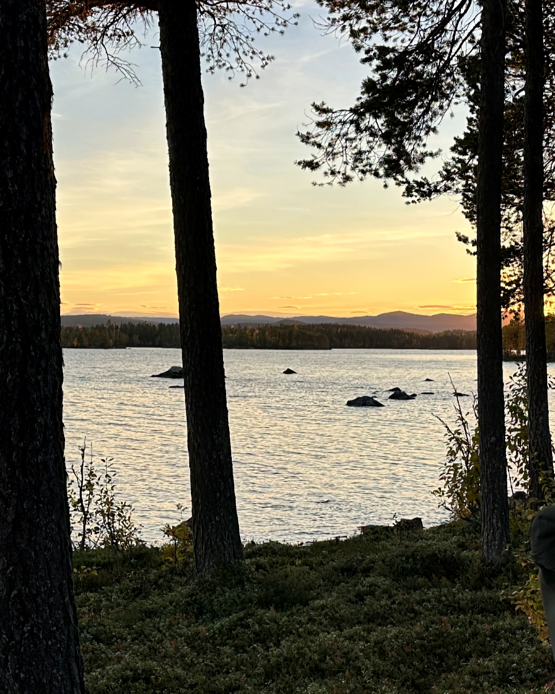 Ausbausteine mit ❤️ und 🧠 Mit modularen Ausbau-Systemen, intelligenter Aufbewahrung und präzisem Zubehör verwandelte unsere Einrichtung jeden T5, T6 oder T6.1 Bus, Transporter, Multivan und California Beach / Comfortline/ Ocean und Coast in ein Raumwunder aus Funktion und Stil. Hochwertig in Schleswig-Holstein gefertigt, ehrlich und selbst gedacht – für Camper, für Menschen die Qualität und Lebenszeit schätzen. Bis zum 23. Dezember 2025 gibt's den besten Busstoff zum 🔨Preis. Sag's gerne weiter. 👍 Wir sehen uns irgendwo zwischen Fjord und Funkloch. Nicole & Stefan #makelovenotwar ✌️ #мир 🌏 · - — VANZEIT ® — - · - Platz für alles. Zeit für Neues. ⛺️ #vwbus , #minicamper 🚐 seit 2012 #imbuszuhause 🥸 #zweipluszweibleibtvier ω€☈♭☋♫❡