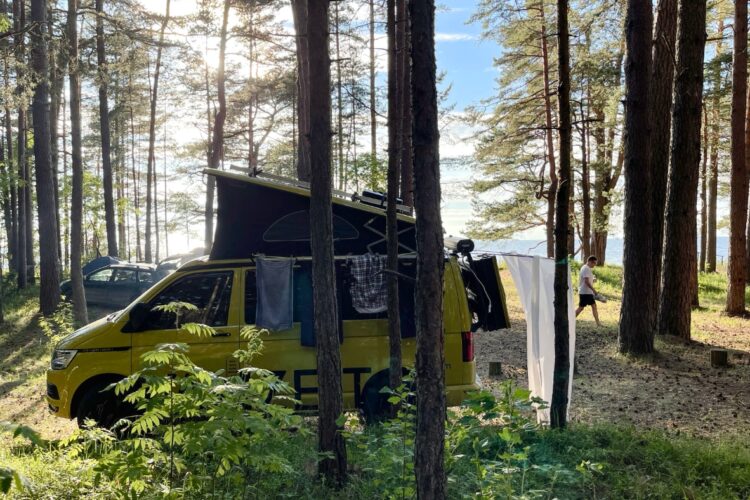 Unsere Hummel an der Ostsee